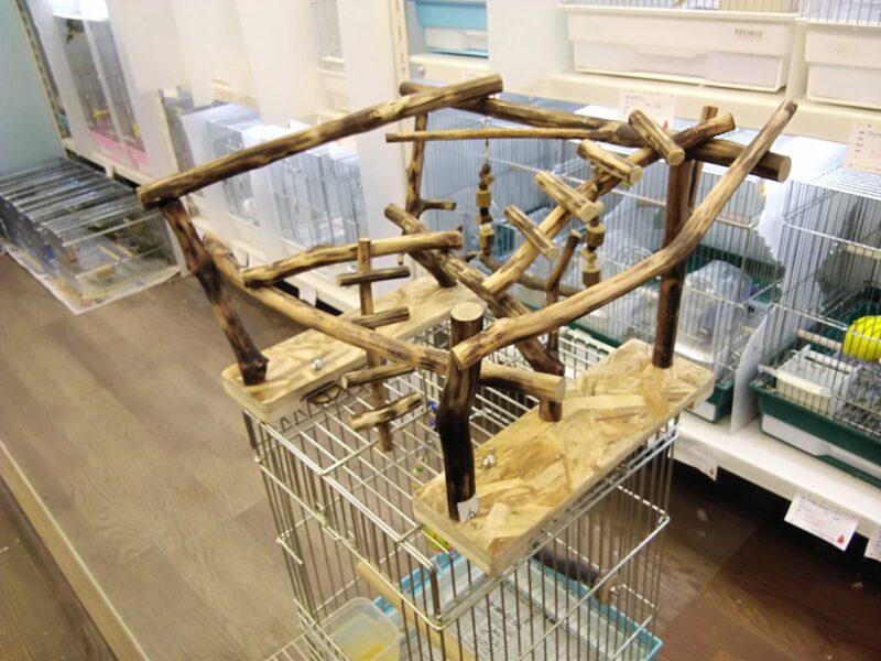 取扱商品 | 小鳥店（インコ、オウム、小鳥）｜BIRD SHOP TEN 東京