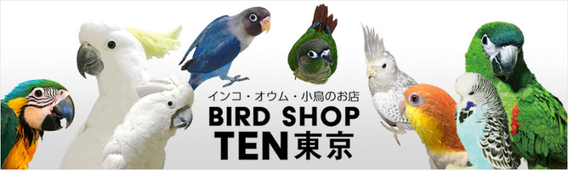 BIRD SHOP TEN 東京（バードショップテン トウキョウ）
